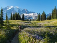 Preserving the Nature and Beauty of Mount Rainier