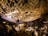 Conservation Efforts at Wind Cave National Park