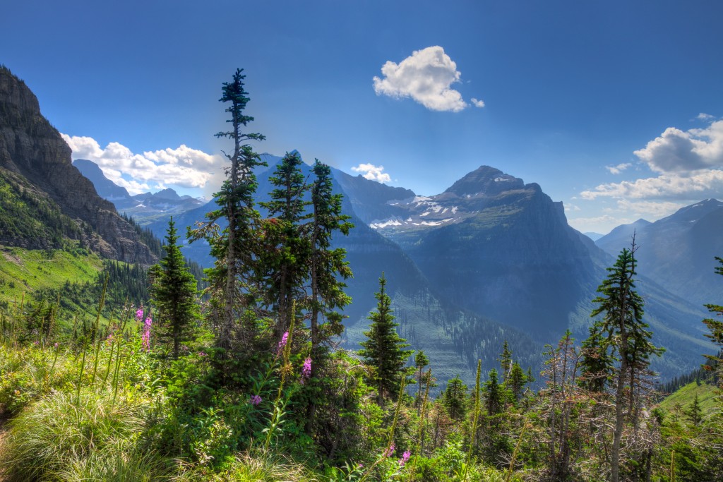 Conservation Efforts at Glacier National Park 