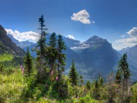 Protecting Glacier National Park