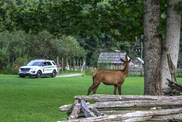 Wildlife Watch: A day in the life of a Vermont game warden 